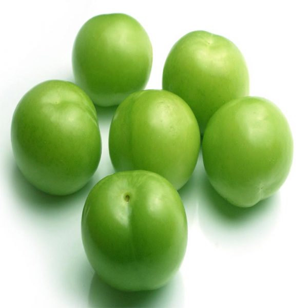 diafun-erik-ic-kurdu-feromonu