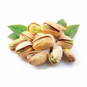 KERPİS - Antep Fıstığı Dal Güvesi