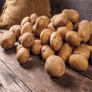 MOPER - Patates Güvesi Feromonu