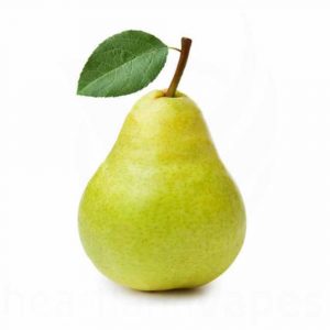 SUCO - Kızıl Ağaç Kurdu